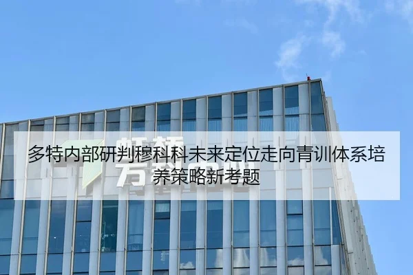 多特内部研判穆科科未来定位走向青训体系培养策略新考题